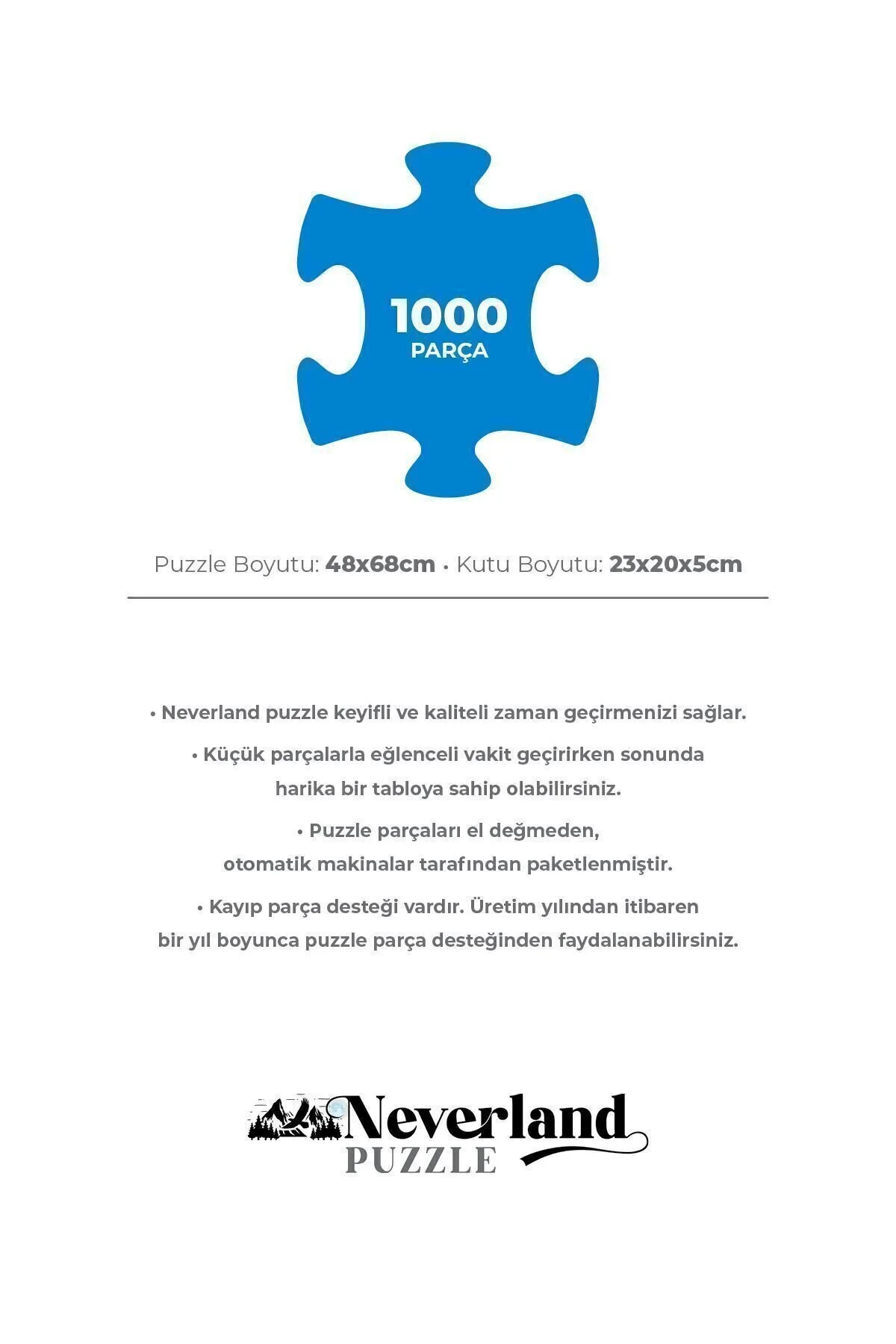 پازل تکه خیابان قدیمی اورجینال Neverland