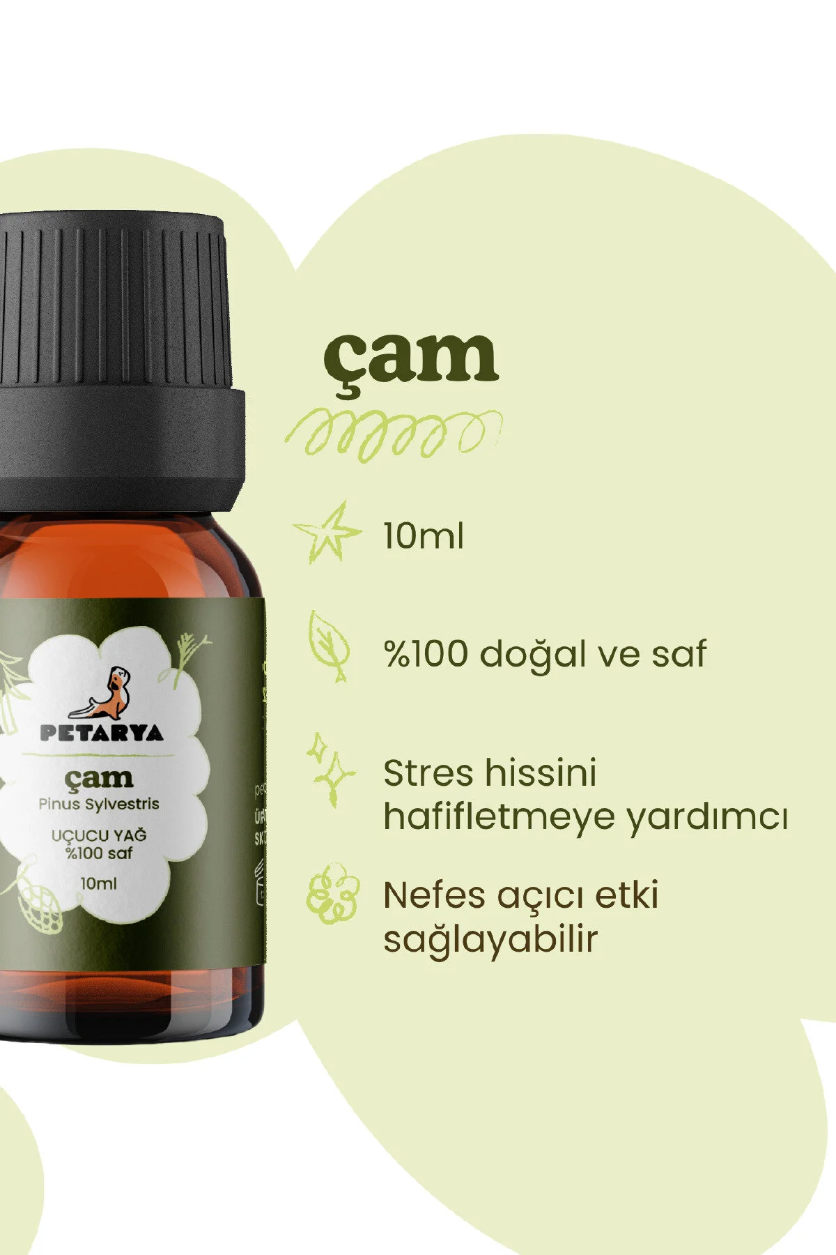 روغن مراقبتی کاج خوراکی 100 ٪ خالص کارواموس تینکوریک 10 میل PETARYA