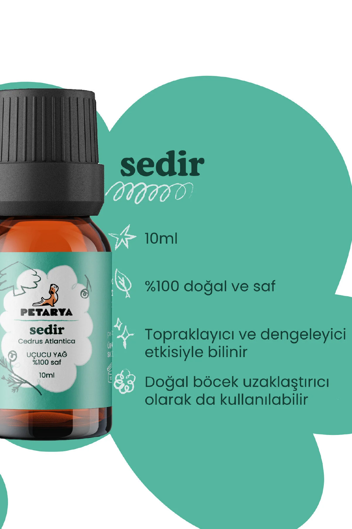 روغن مراقبتی 100 ٪ سدر ضروری خالص سدروس آتلانتیکا 10ML PETARYA