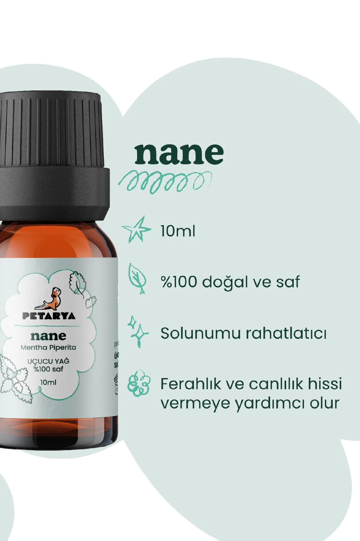 روغن مراقبتی 100 ٪ خالص نعناع نفتی 10ML PETARYA