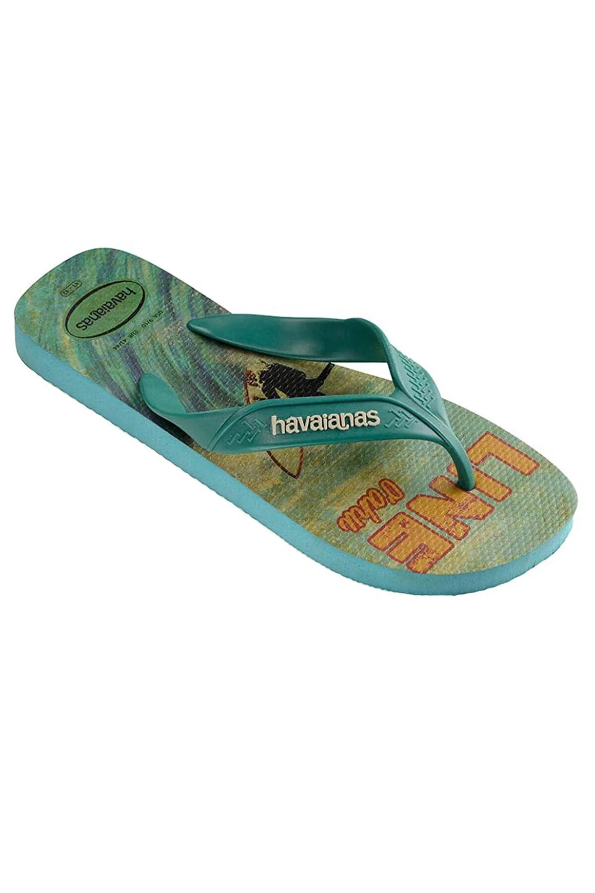 دمپایی چند رنگ مردانه HAVAANAS 4000047 0031 هاوایاناس Havaianas