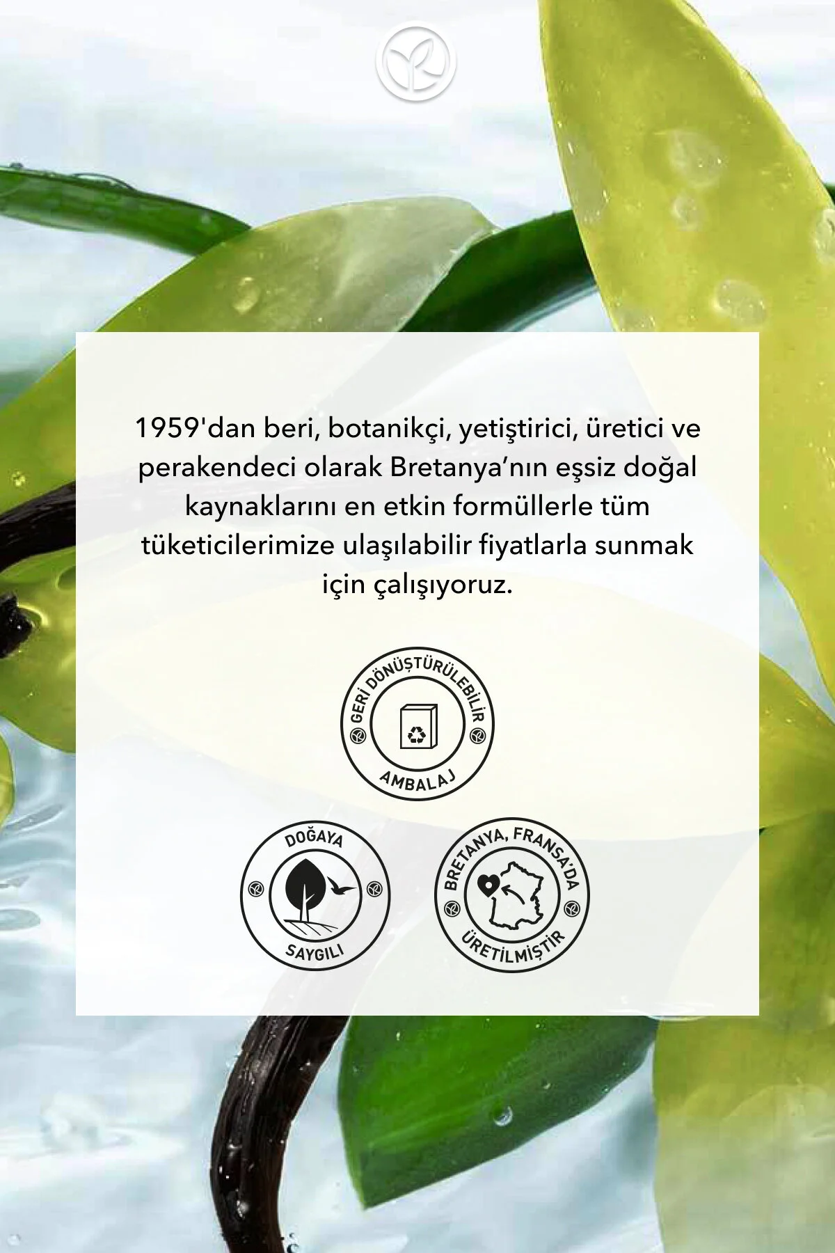 Yves Rocher صابون جامد وانیل خارجی 80 گرم