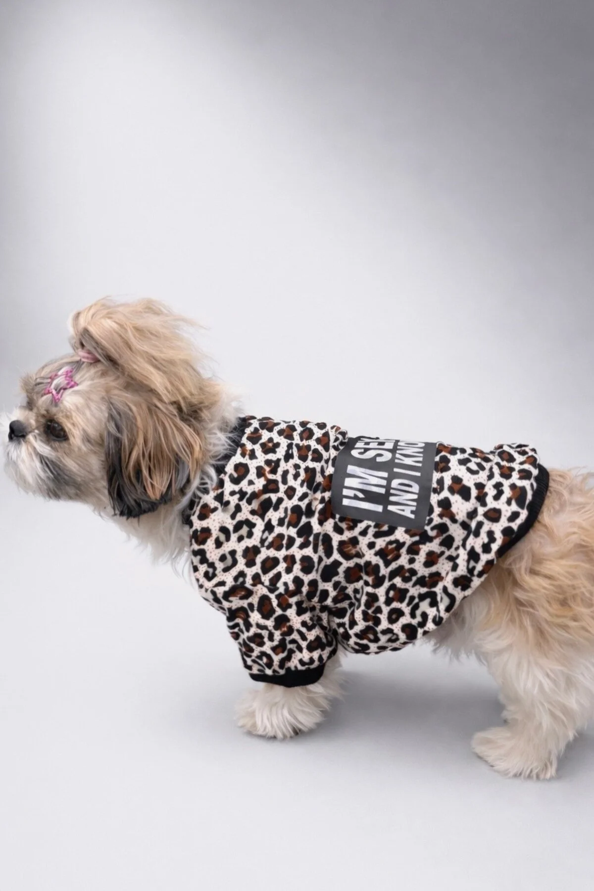 لباس سگ تی شرت پلنگی من جذاب هستم و آن را می دانم چاپ گربه اورجینال For a Fur