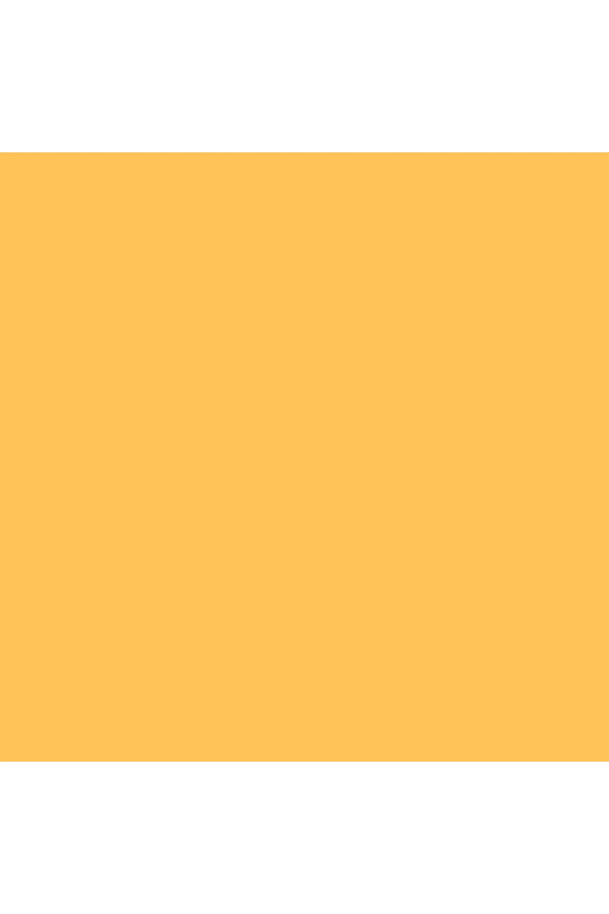جاروبرقی کیسه دار نگهبان L1 FLEX SUNSET YELLOW جارو گرد و غبار Miele