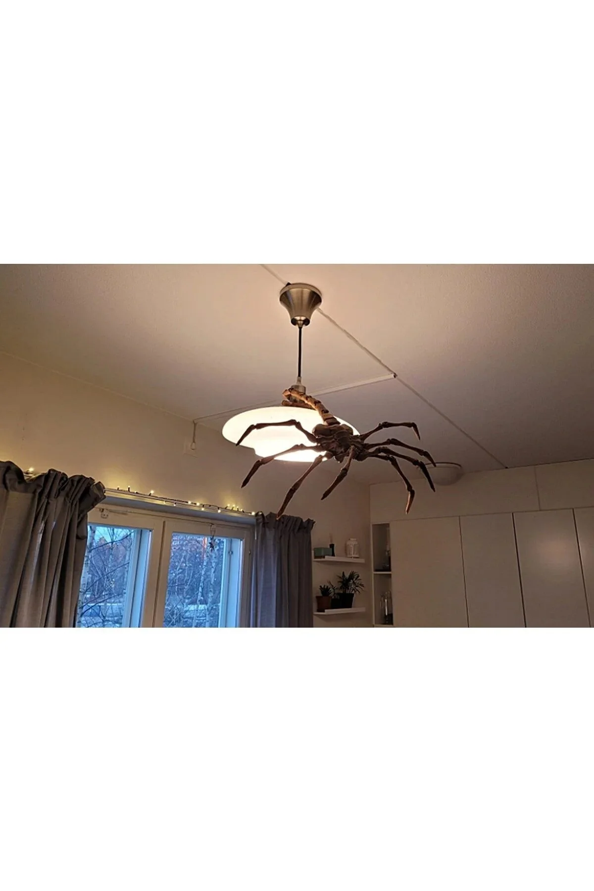 فیگور نقاشی شده ALIEN AGISIS FACEHUGGER اندازه واقعی FOLİNZA