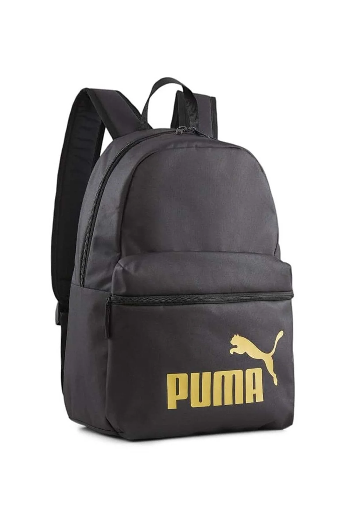 کوله پشتی PHASE Puma