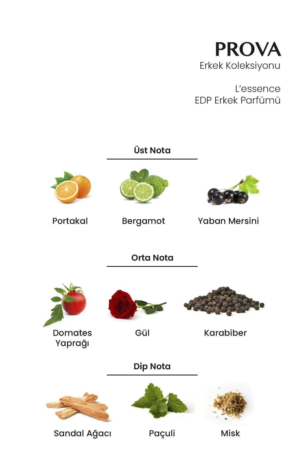 Prova عطر مردانه الاسنس ادوپرفیوم Fruity 100 میلی لیتر