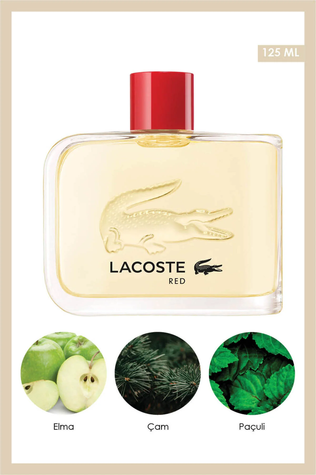 عطر مردانه Red ادوتویلت 125 میل لاگوست Lacoste