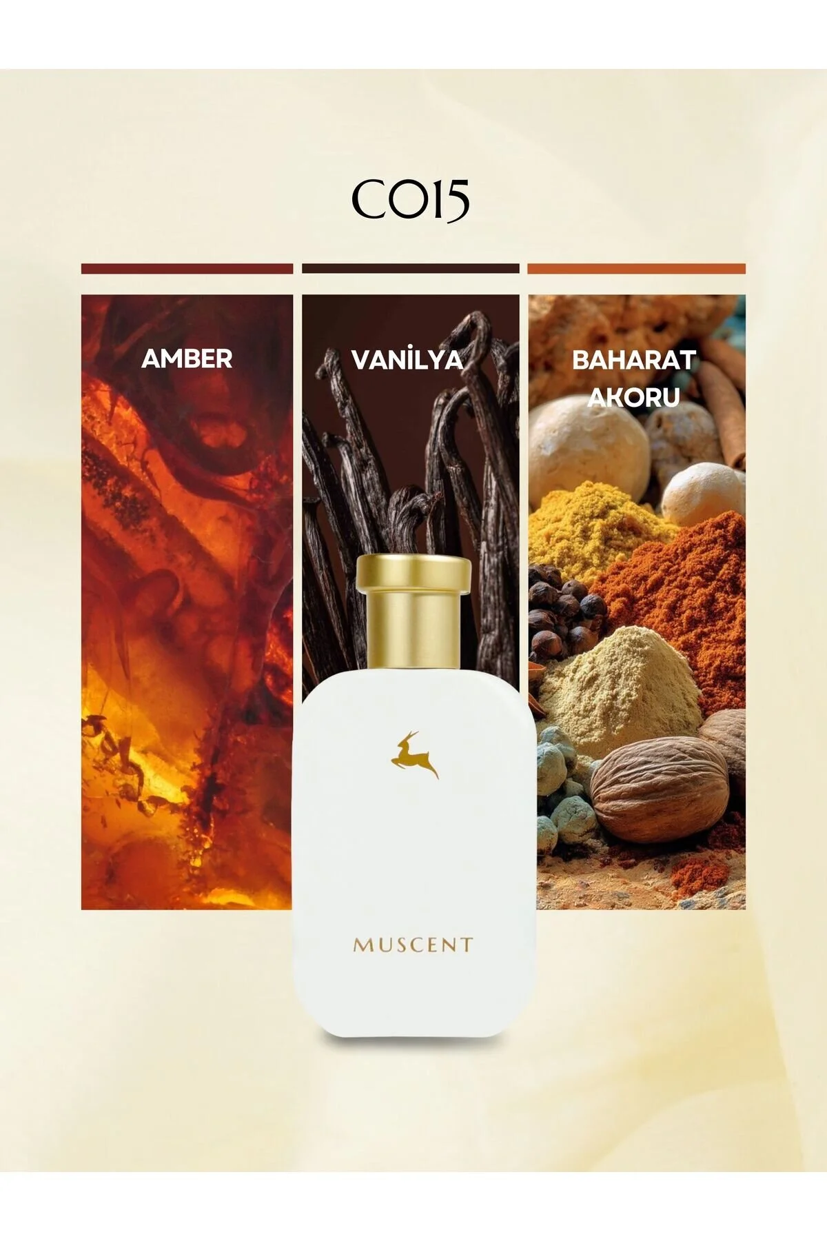 MUSCENT C015 50 میلی لیتر.