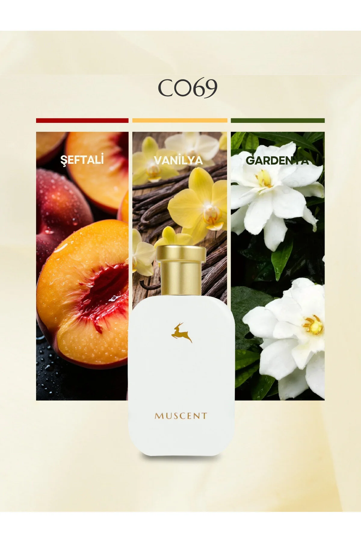 عطر 100 50 ML اورجینال MUSCENT