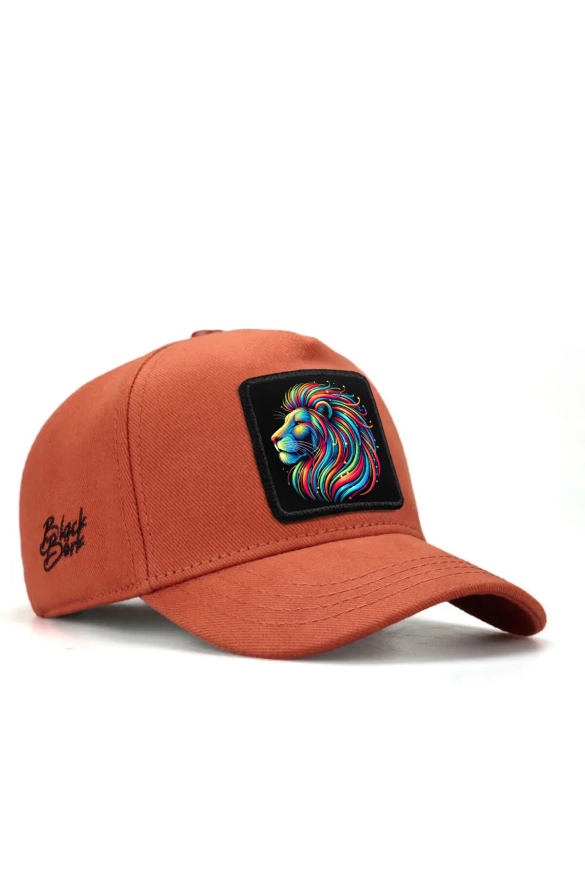 کلاه دخترانه و پسرانه بچگانه V1 KIDS LION LOGO TILE بیس بال کودکان بلک‌ بورک BlackBörk