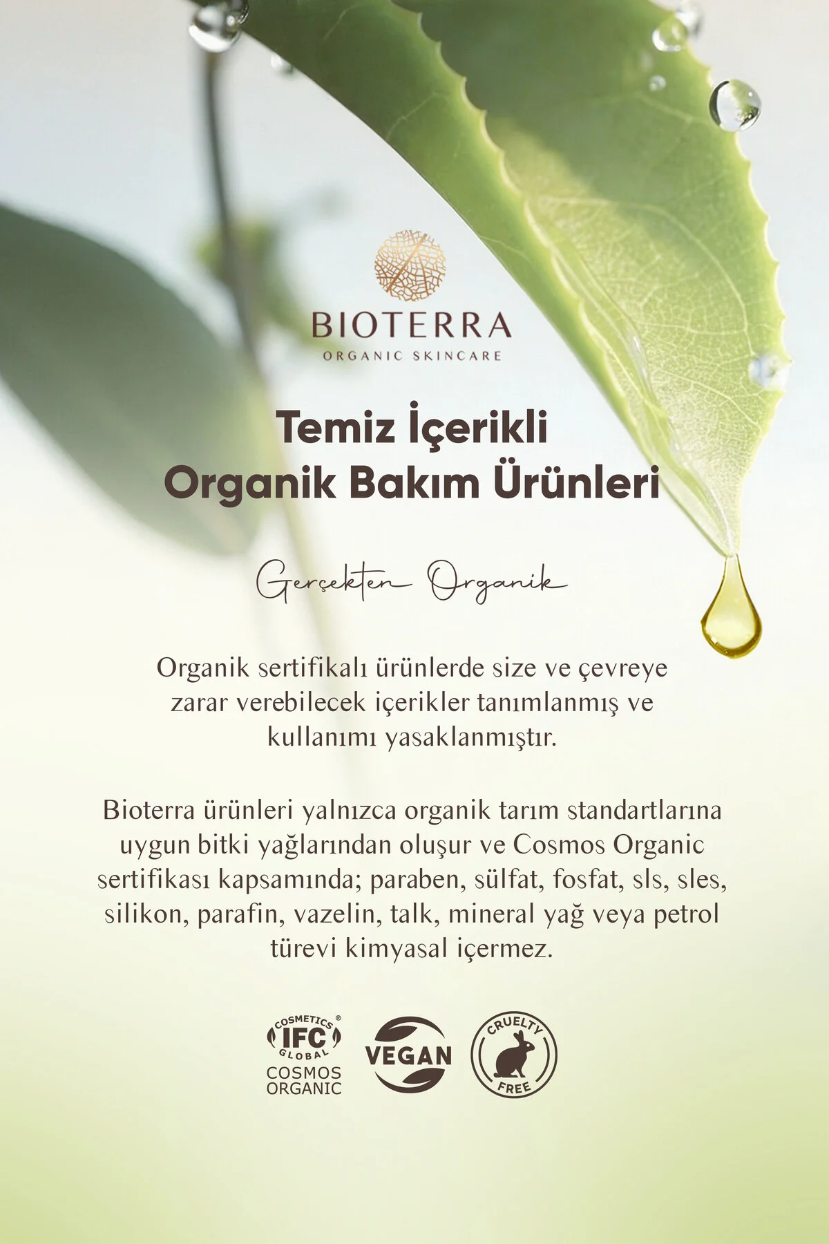 سرم ابرو و مژه ارگانیک 5 میلی لیتر با فرمولاسیون طبیعی Bioterra