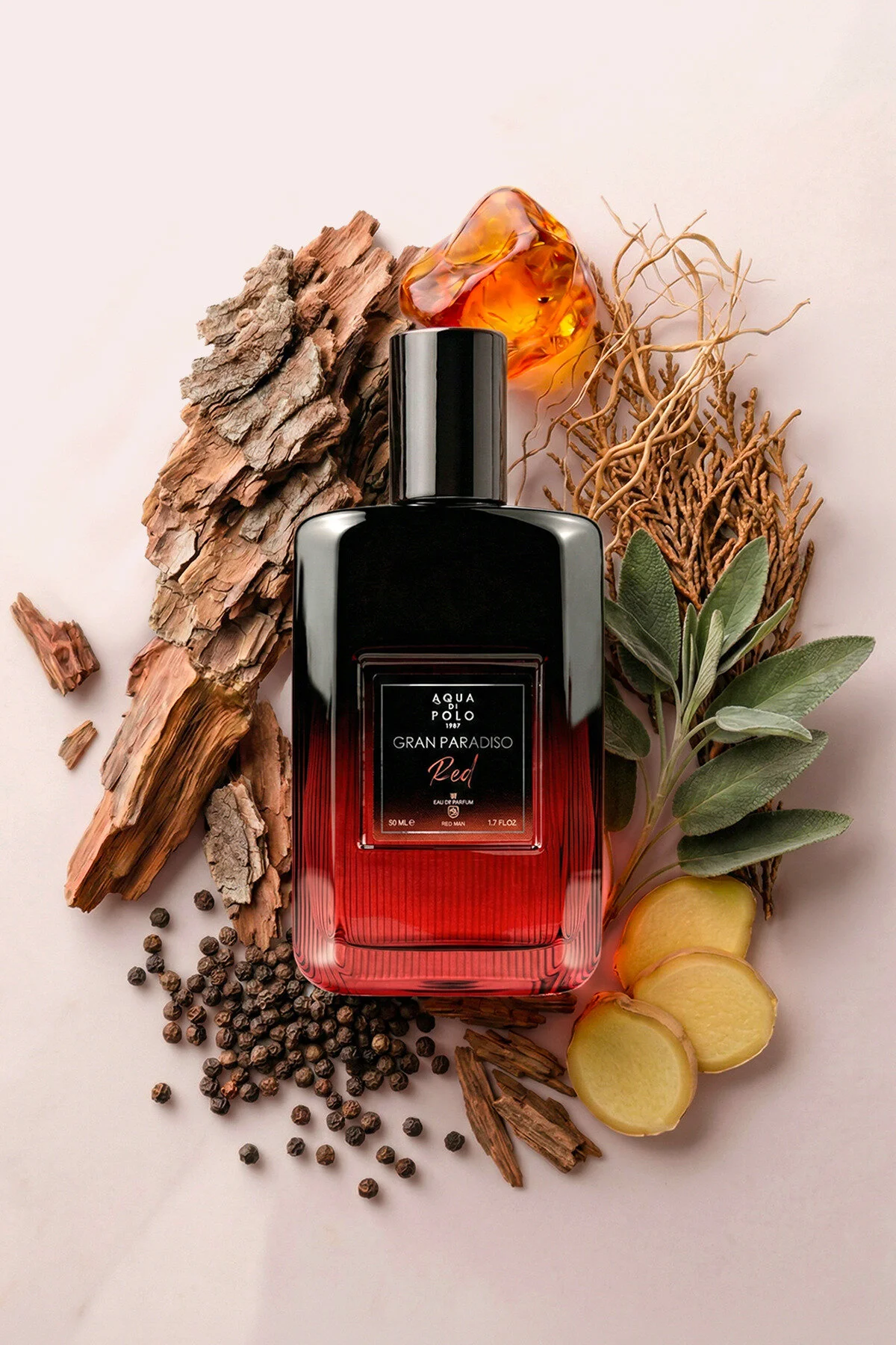 Aqua Di Polo 1987 عطر مردانه گران پارادیزو قرمز با حجم ۵۰ میلی‌لیتر