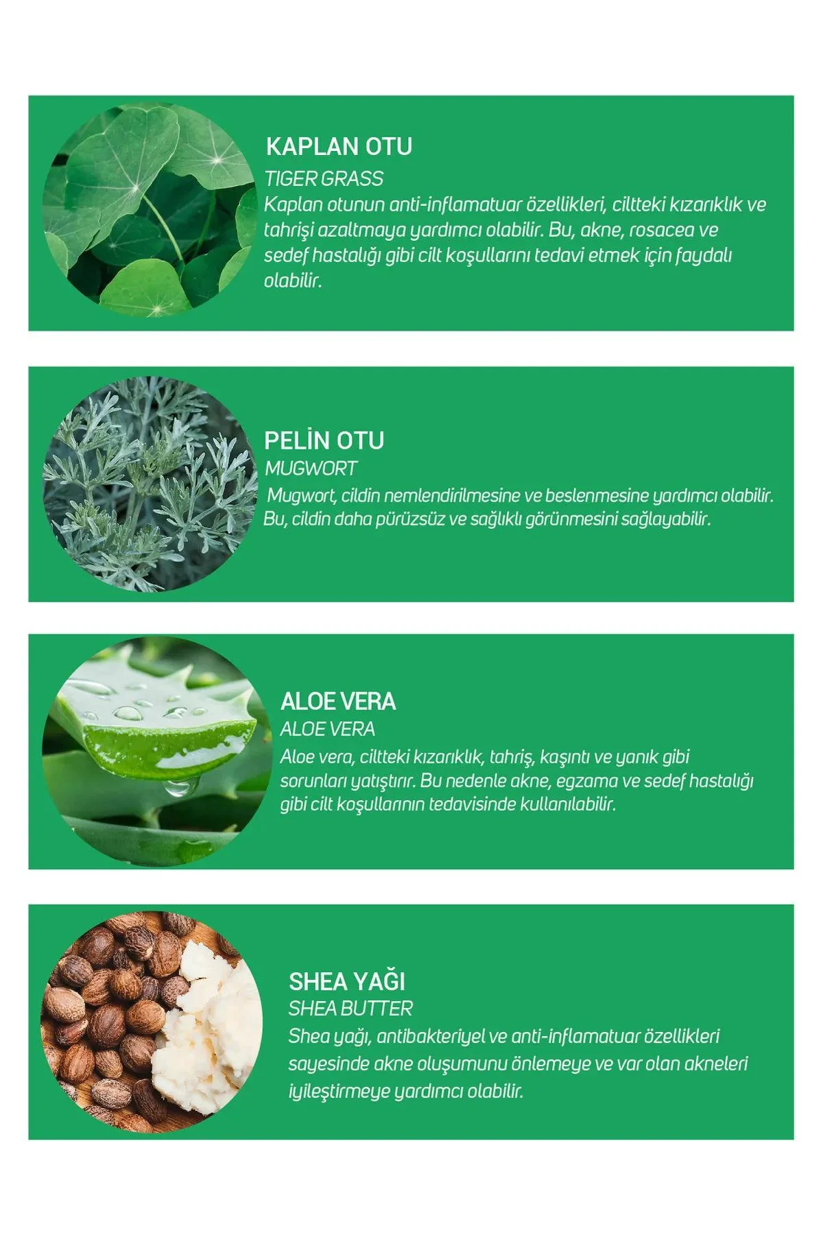 تونر ALOE VERA CENTELLA ASIATICA ESSENTIAL SPRAY FACE 125 میلی لیتر سنتلا Discover Beauty Style