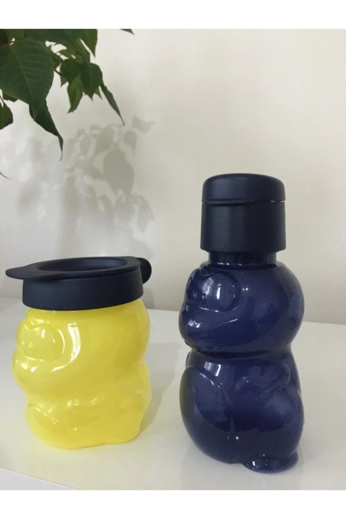 قمقمه و فلاسک دخترانه پسرانه بچگانه محل آب بطری EKO کودک خلوت Tupperware