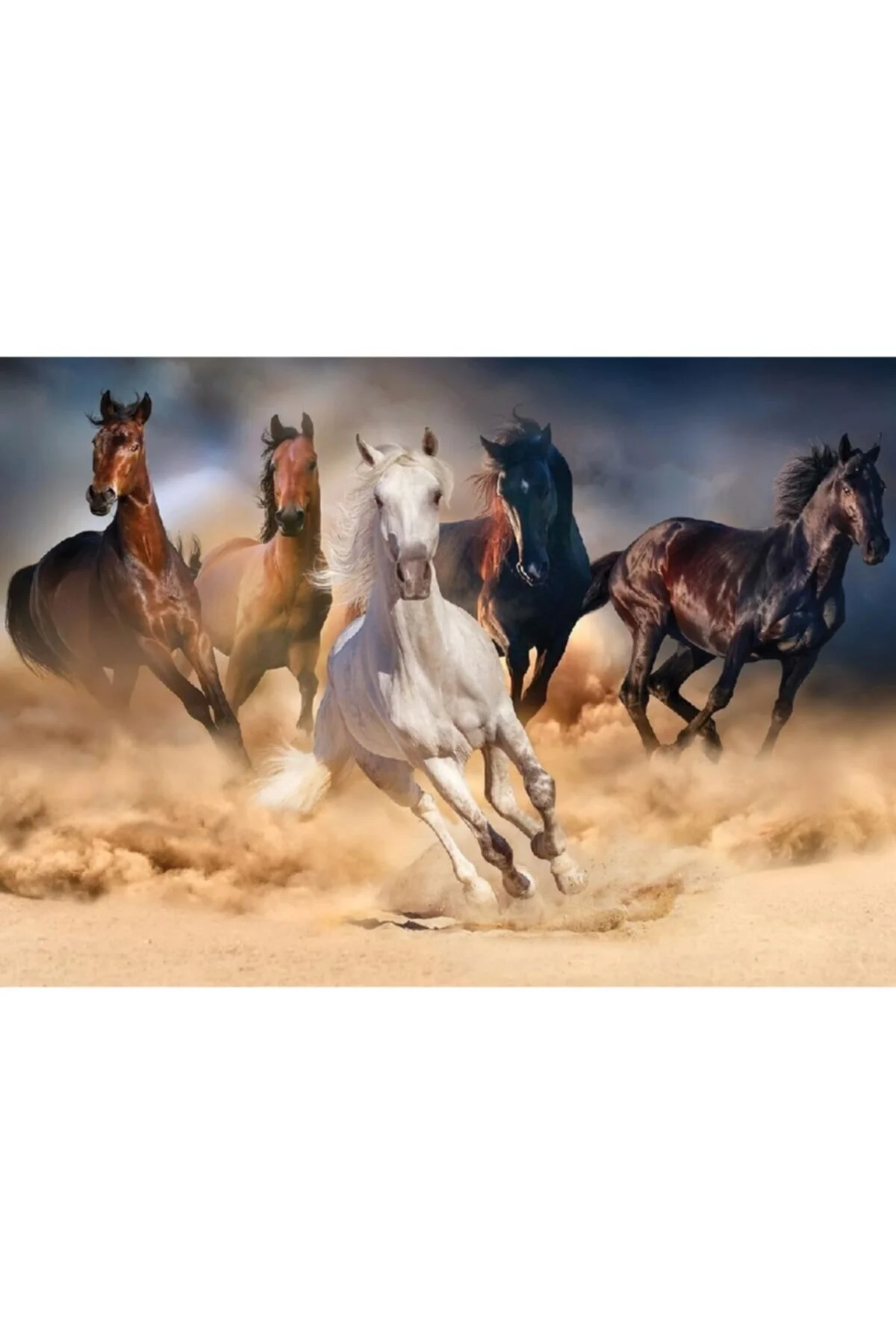 پازل اسب های وحشی 1000 قطعه اورجینال Ks Games
