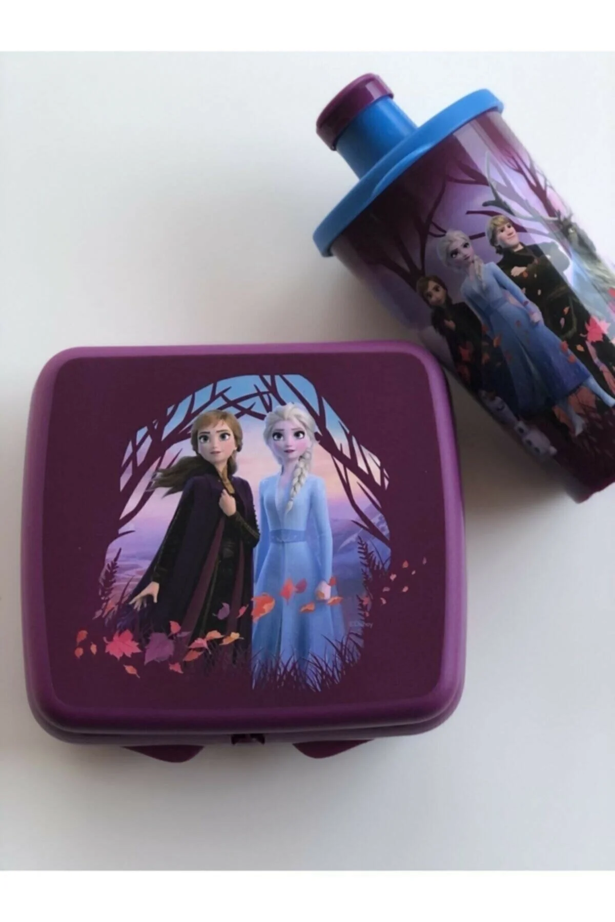 قمقمه مجموعه منجمد ELSA NUTRITION BOX CUP 2LI Tupperware