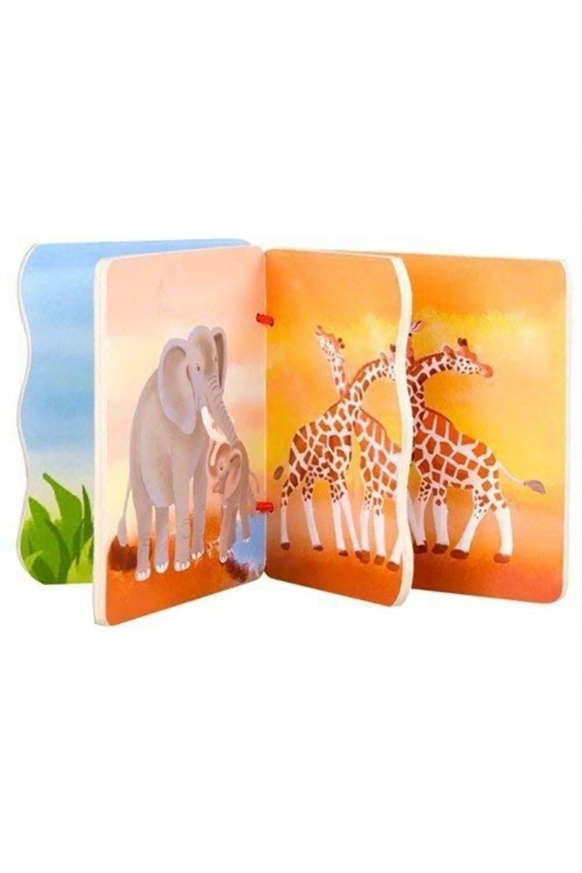 اسباب بازی های آموزشی برند: Wooden Wild Animals کتاب من دسته: حمام Classic World