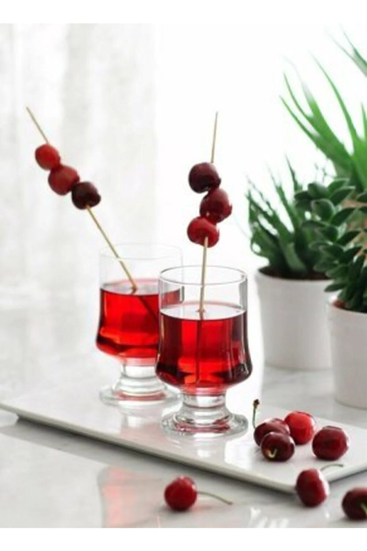 لیوان فنجان نوشابه ماگنولیا برای 6 LAV