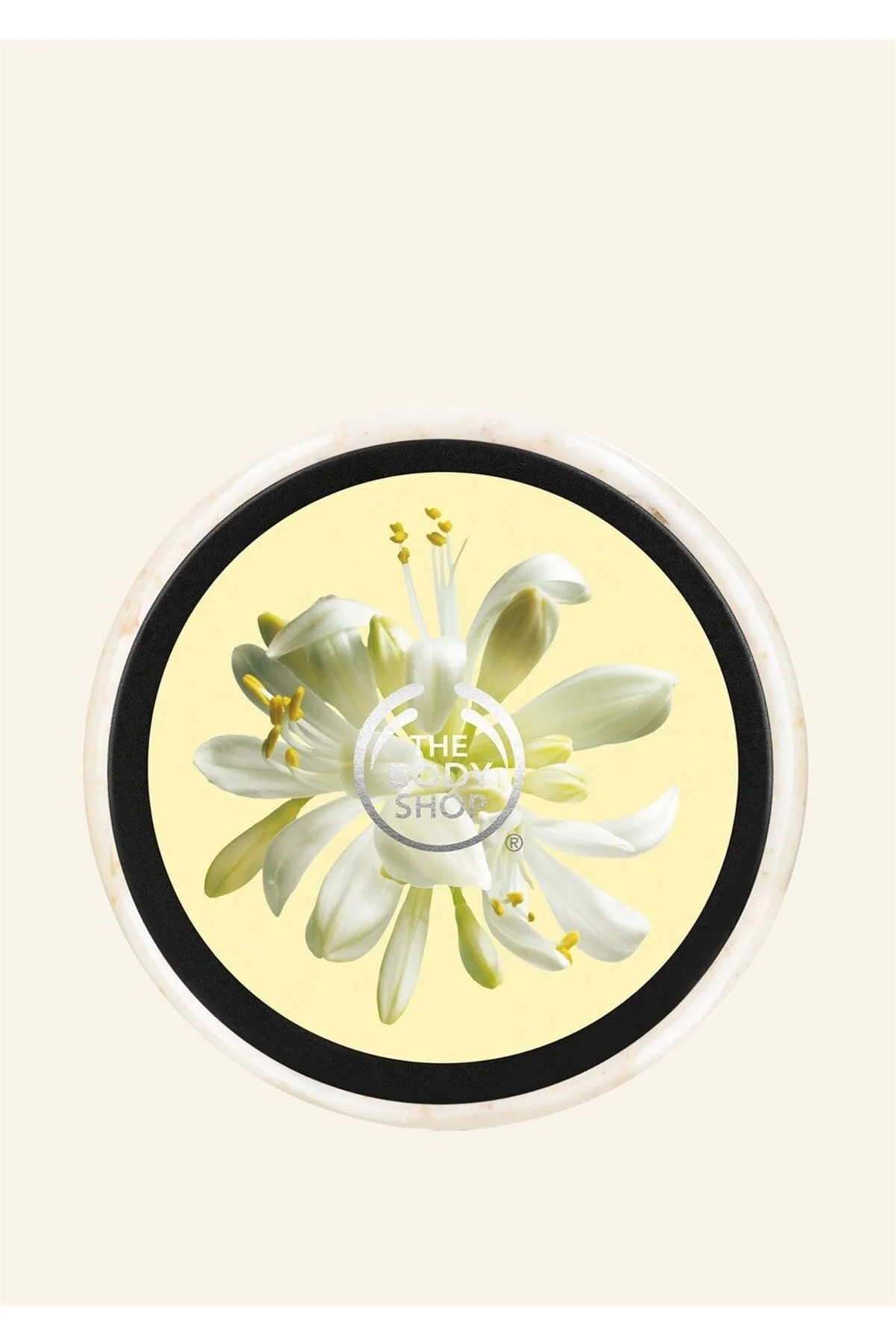 اسکراب بدن مورینگا اورجینال THE BODY SHOP