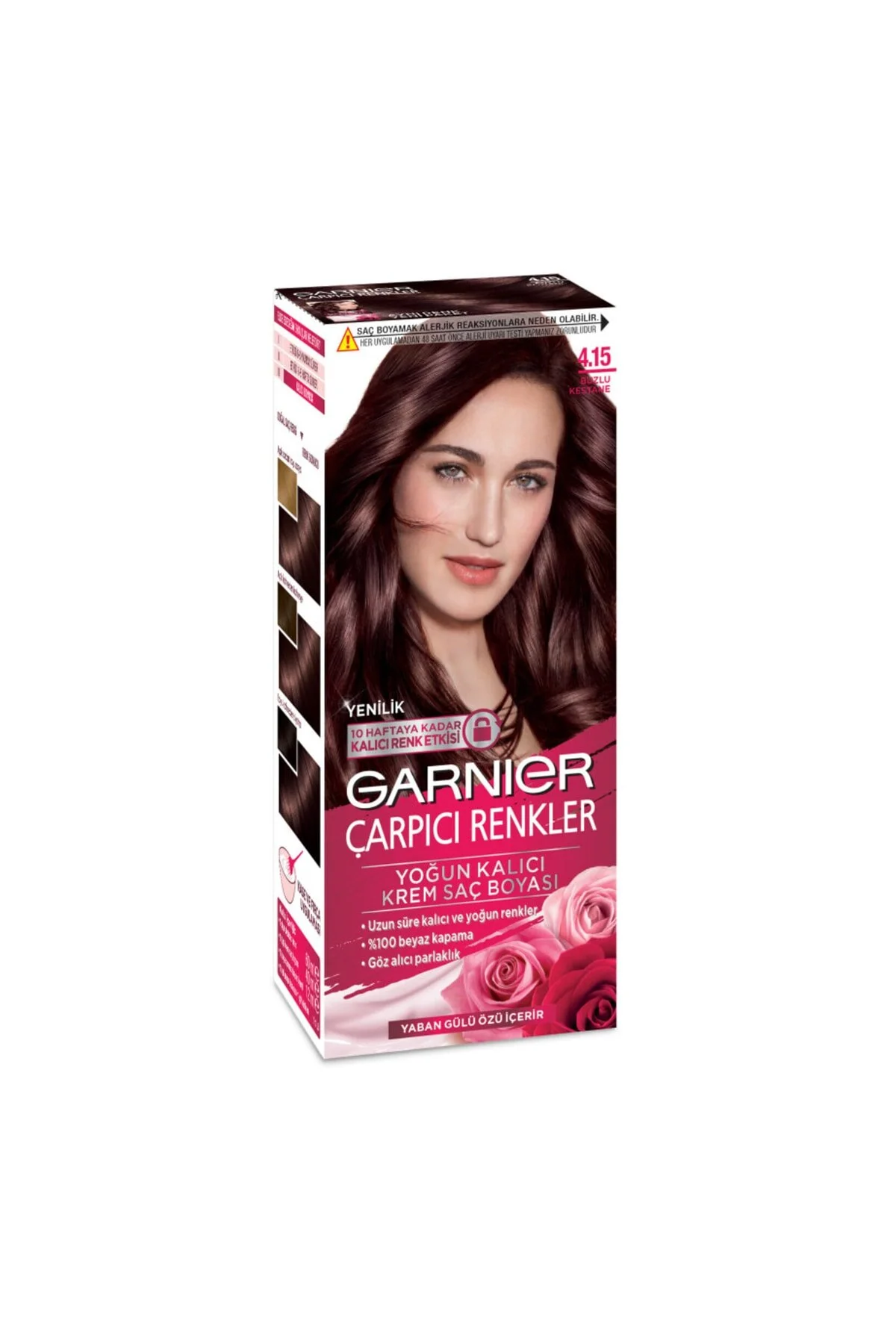 مراقبت شخصی رنگهای قابل توجه 4.15 شاه بلوط یخ Garnier