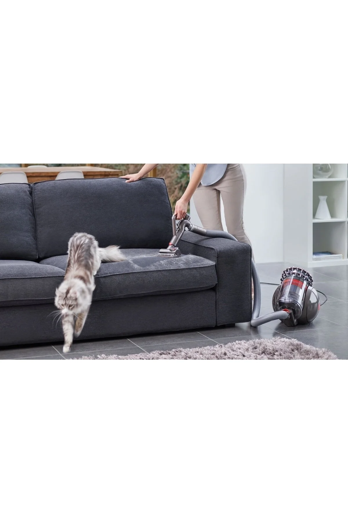 جاروبرقی بدون کیسه BIG BALL PRO2 DUST FREE DYSON
