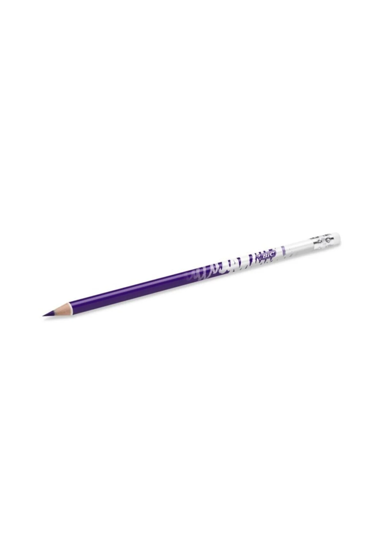 Bic Evolution Illusion Erasable Color Pen 12 Colors 3086123570894