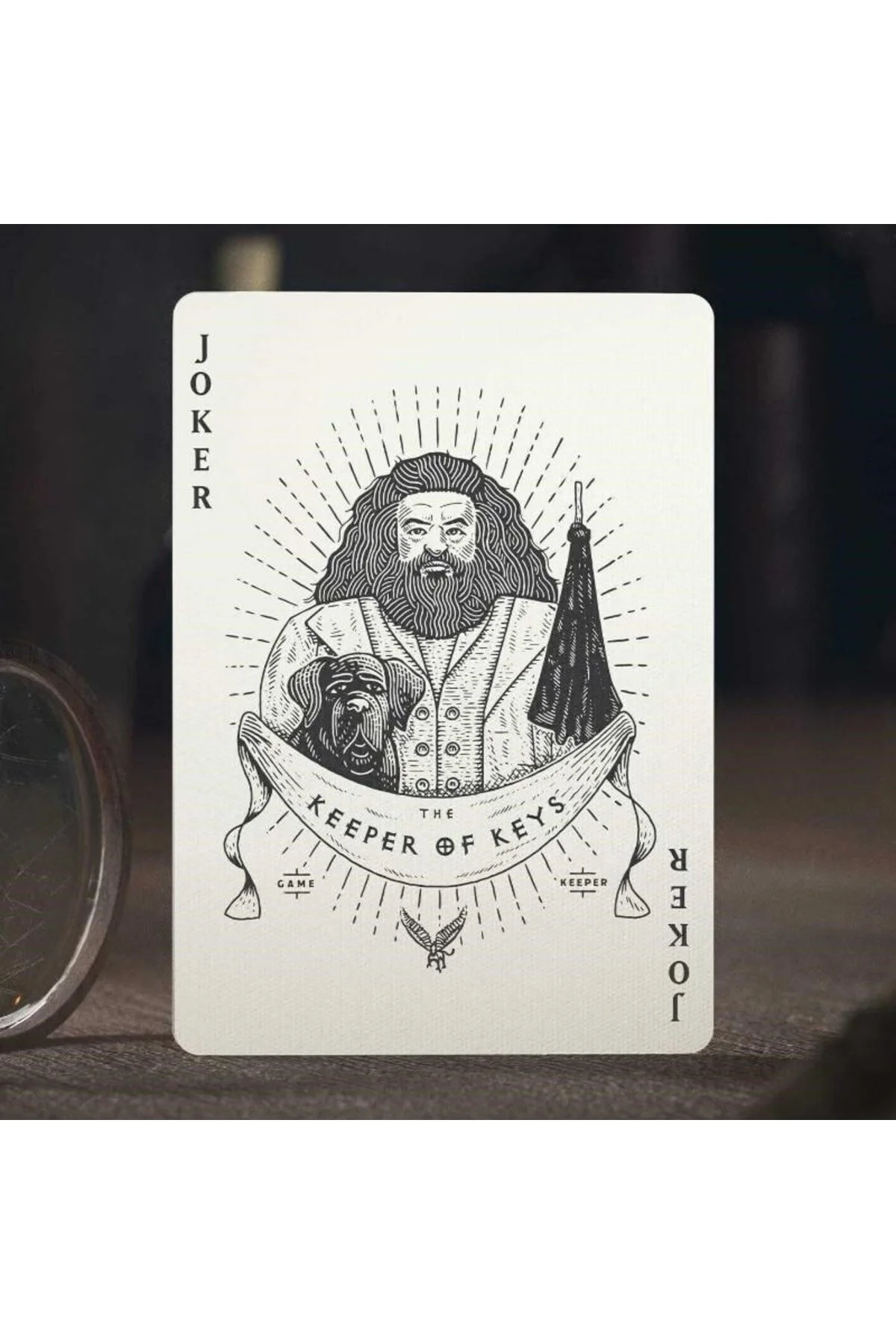 کارت بازی نظریه 11 هری پاتر GRYFFINDOR RED DECK OyuncaklarÜlkesi