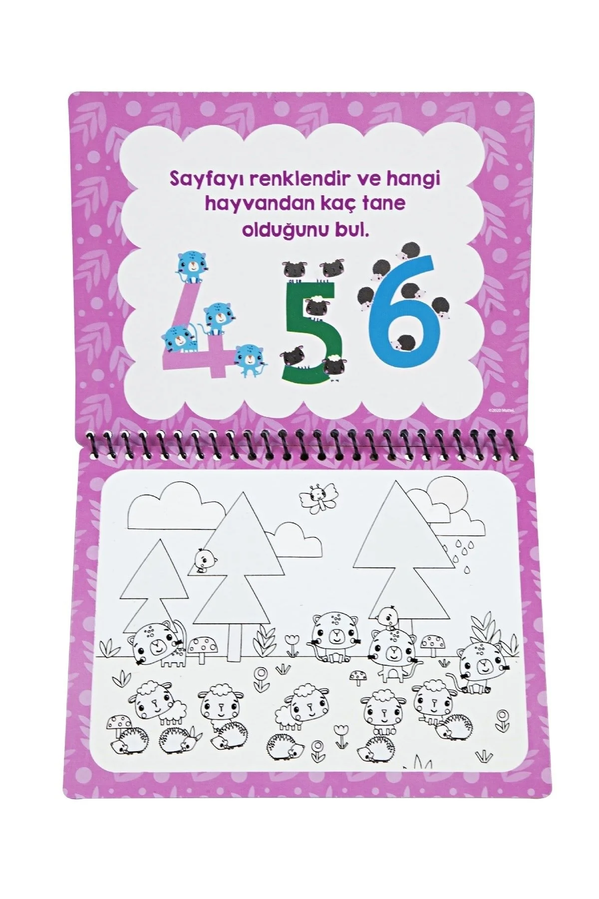 کتاب های فعالیت و آموزشی 2 قطعه مجموعه آب نقاشی قلم جادویی رنگ آمیزی حیوانات فیشر اعداد Fisher Price