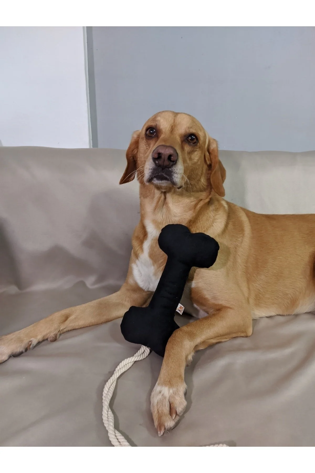 اسباب بازی سگ مشکی Bestie Tug Bone Dog Toy UTDKO014020 UTDpet