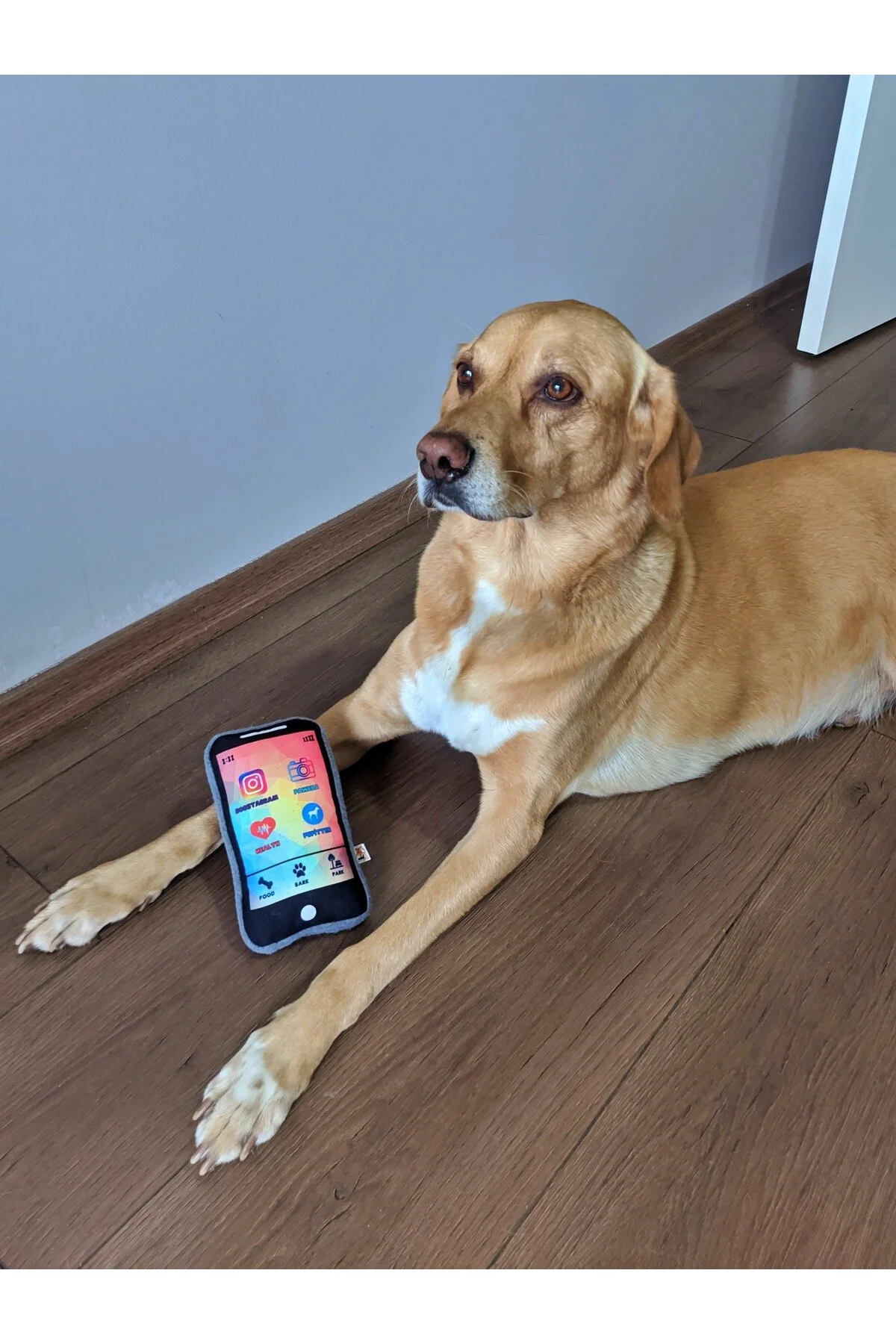 اسباب بازی سگ چند رنگ Pawphone Sound تلفن همراه + Chicky Bone Dog Toy UTD2LKOPAWCHC UTDpet