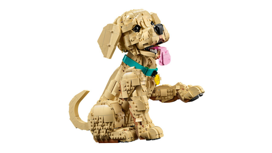 مجموعه ساختنی و نمایشی توله گلدن رتریور لگو LEGO Icons مدل 11384، ۲۱۰۲ قطعه، ارتفاع ۳۰ سانتی‌متر