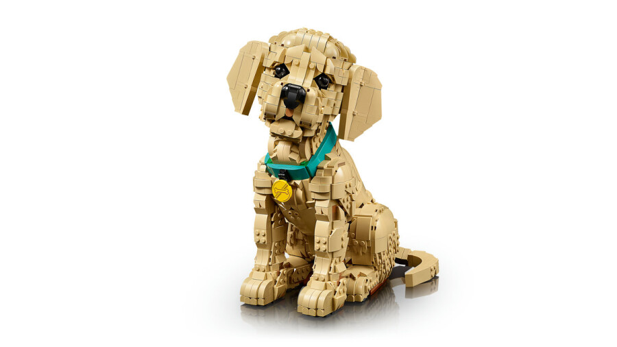 مجموعه ساختنی و نمایشی توله گلدن رتریور لگو LEGO Icons مدل 11384، ۲۱۰۲ قطعه، ارتفاع ۳۰ سانتی‌متر