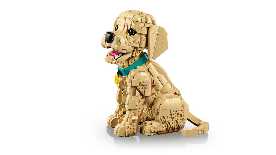 مجموعه ساختنی و نمایشی توله گلدن رتریور لگو LEGO Icons مدل 11384، ۲۱۰۲ قطعه، ارتفاع ۳۰ سانتی‌متر