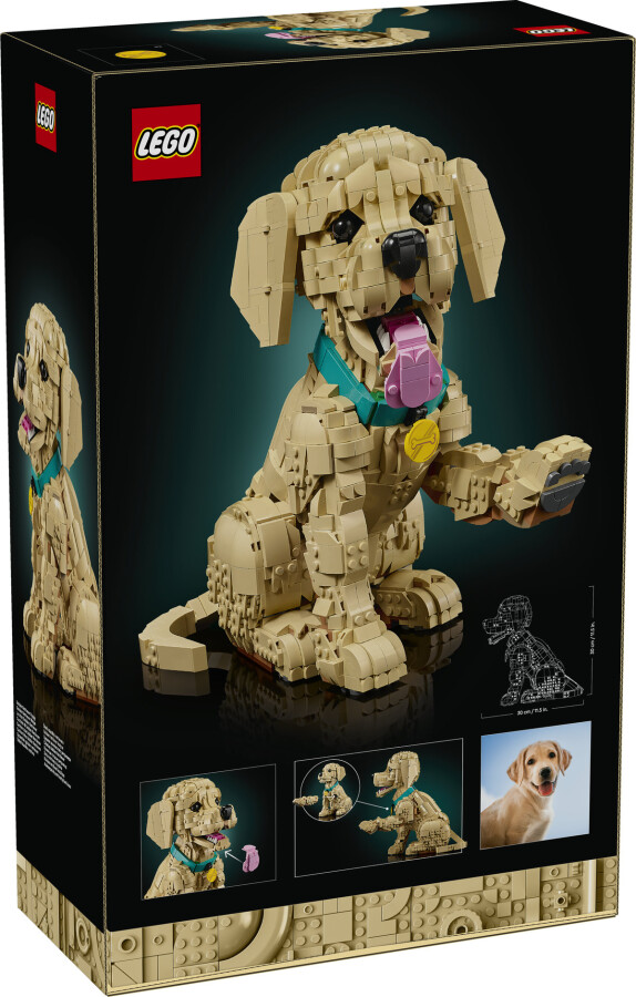 مجموعه ساختنی و نمایشی توله گلدن رتریور لگو LEGO Icons مدل 11384، ۲۱۰۲ قطعه، ارتفاع ۳۰ سانتی‌متر