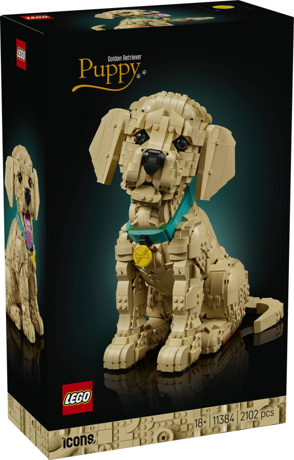 مجموعه ساختنی و نمایشی توله گلدن رتریور لگو LEGO Icons مدل 11384، ۲۱۰۲ قطعه، ارتفاع ۳۰ سانتی‌متر