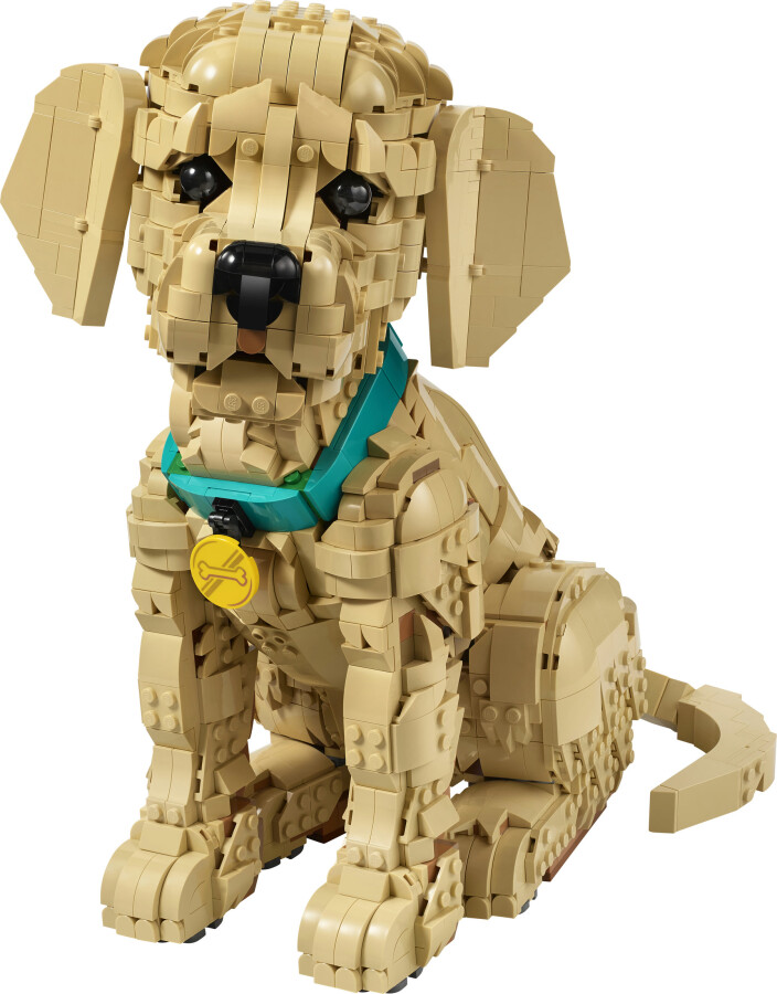 مجموعه ساختنی و نمایشی توله گلدن رتریور لگو LEGO Icons مدل 11384، ۲۱۰۲ قطعه، ارتفاع ۳۰ سانتی‌متر